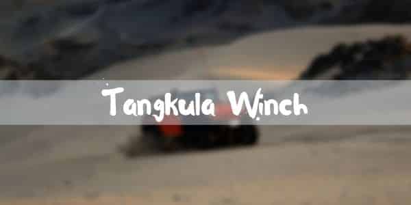 tangkula winch review