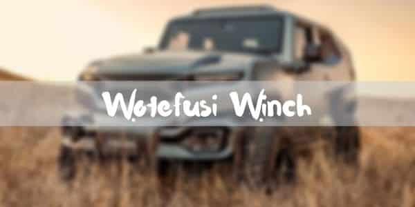 wotefusi winch review