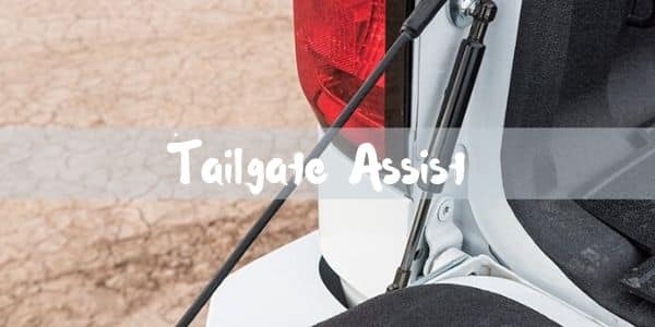 tailgate assist